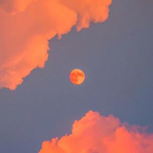 香蕉视频久久久
