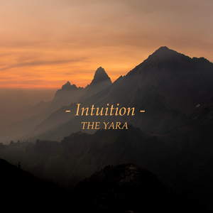 香蕉视频久久久
